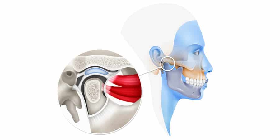 articulacion-mandibula